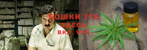 не бодяженный Ельня